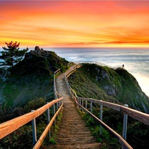 Meet your Posher, Gavin